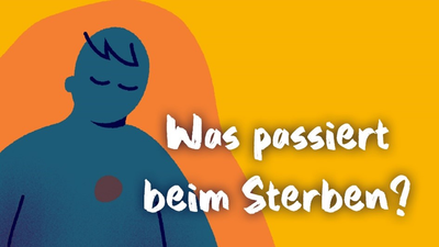 Quelle: Palliative Care Forum